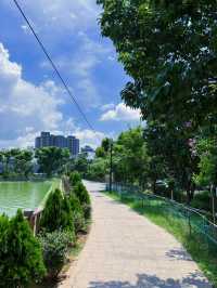 🌿 桃園八德｜高城埤塘生態公園：水鳥會跑來打招呼的靜謐小天地 🐦✨