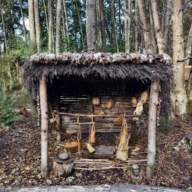 Enchanting Moments at Queenstown Kiwi Park