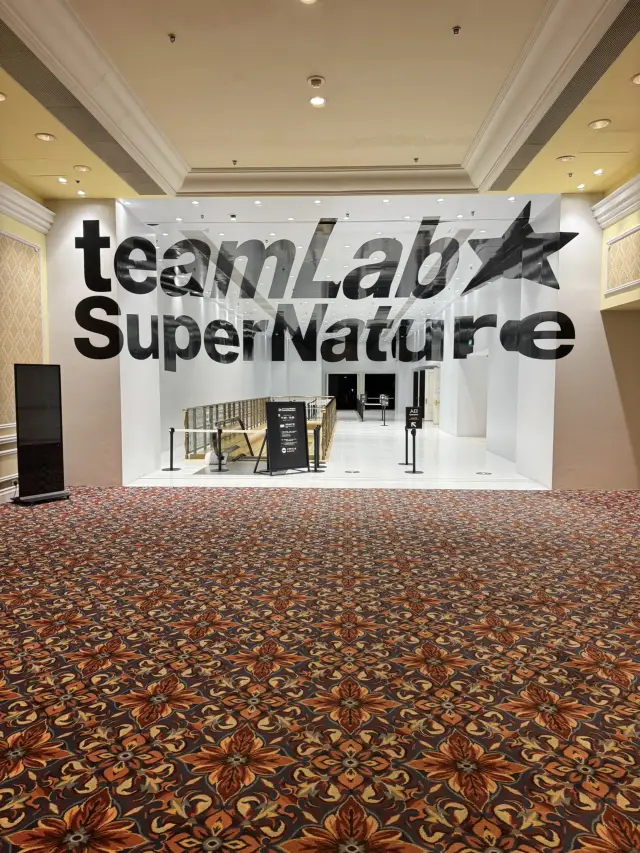 【澳門】重返威尼斯人Team Lab:全新鮮花光影薈!