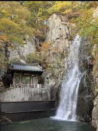 📍 양산 속 비밀 정원, 홍룡폭포에서 여름 한 모금