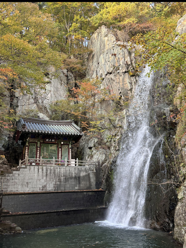 📍 양산 속 비밀 정원, 홍룡폭포에서 여름 한 모금