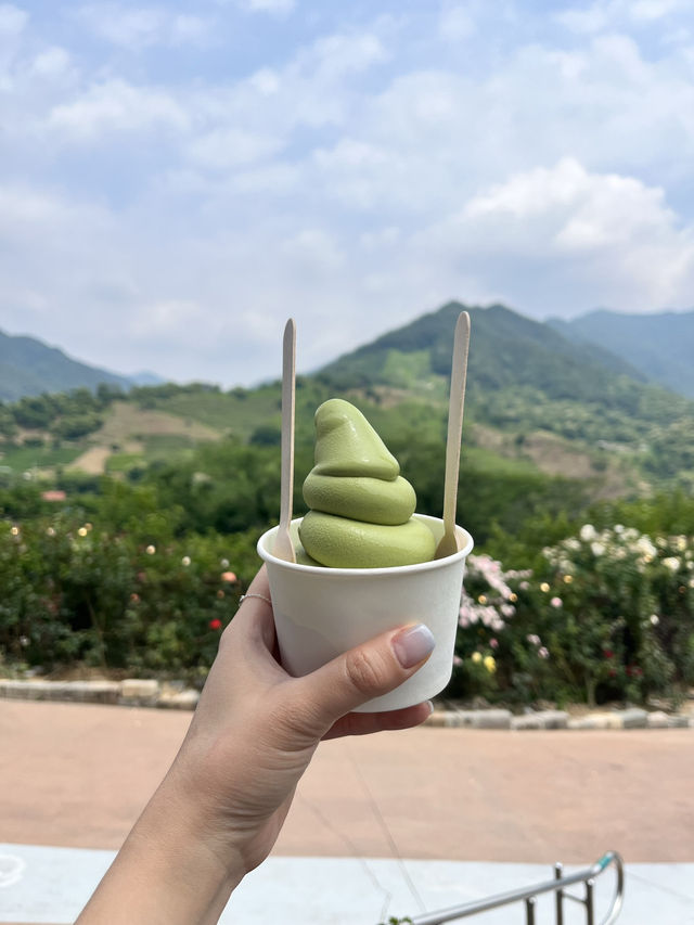 하동에서 빠질 수 없는 녹차디저트를 파는 카페🩷