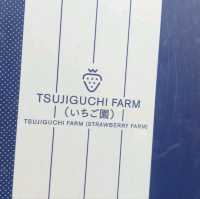 กินสตอร์เบอรี่สีขาวแบบบุฟเฟ่ต์ที่Tsujiguchi Farm