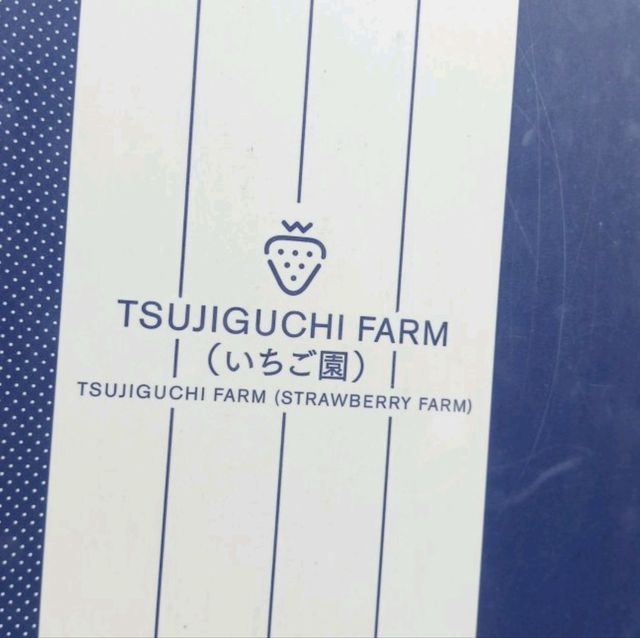 กินสตอร์เบอรี่สีขาวแบบบุฟเฟ่ต์ที่Tsujiguchi Farm
