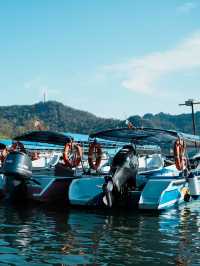 Langkawi Mangrove Tour – Nature, Eagles & Jungle Vibes! 🌿🦅
