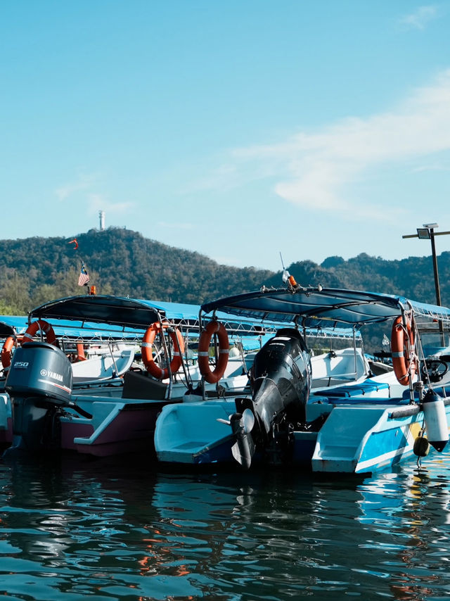 Langkawi Mangrove Tour – Nature, Eagles & Jungle Vibes! 🌿🦅