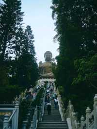 Hong Kong in 3 Stops: Fun, Culture & Skyline Views