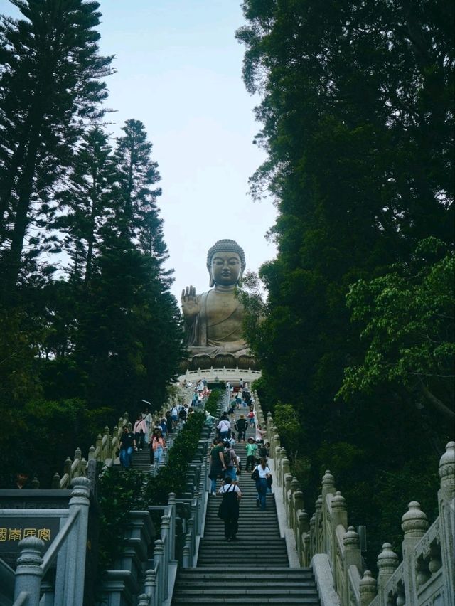 Hong Kong in 3 Stops: Fun, Culture & Skyline Views