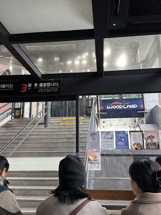 【城市中的空中綠洲🌿】搭纜車上山看夜景！大邱前山公園讓人戀愛的視角❤️