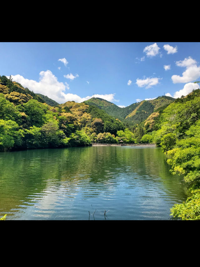 🌳三重｜真手公園（多気郡大台町）