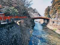 Magic, Blossoms & Organized Chaos — Tokyo’s Unforgettable Energy