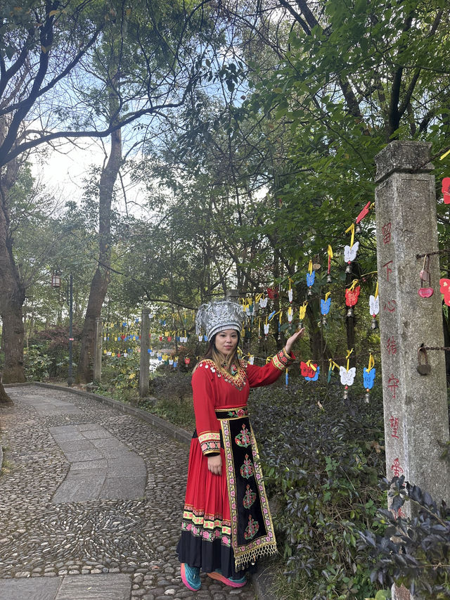 Discover the Colorful Charm of Butterfly Park – A Hidden Gem in Yunnan