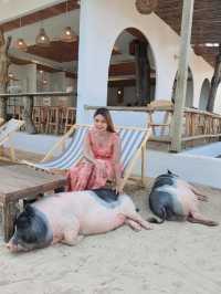Kamari Cafe & Resort – เกาะล้าน