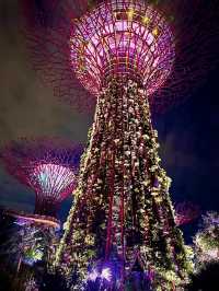 เที่ยวสิงคโปร์🇸🇬