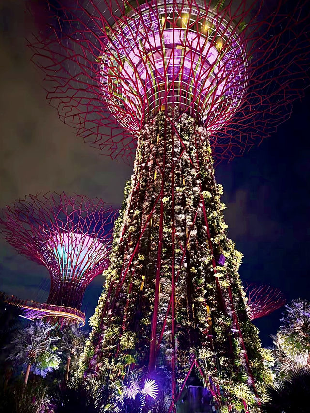 เที่ยวสิงคโปร์🇸🇬