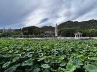 Nanputuo Temple’s Water Lily Garden: Where Buddha Meets Blooms (And Your Soul Finds Zen)"** 🌸🏯  