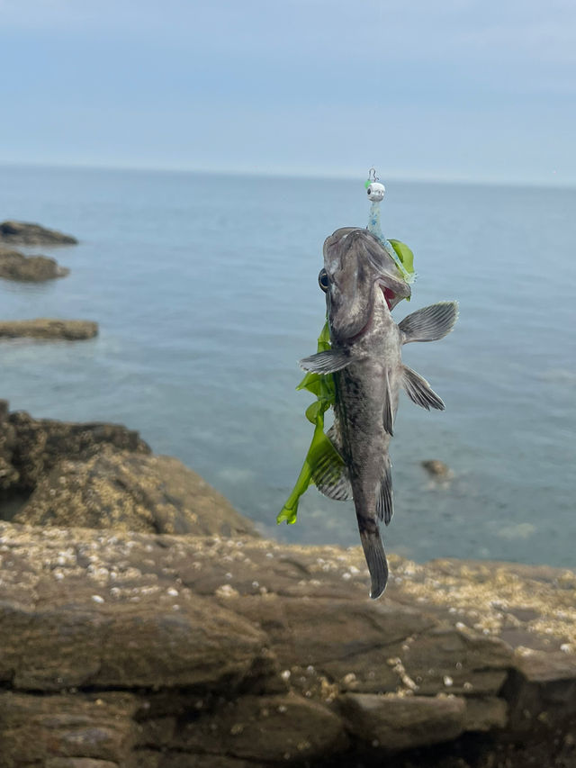 바다 끝의 쉼, 민어도에서의 고요한 하루~🏖️