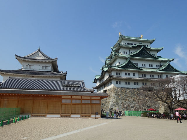 🏯 Timeless Beauty and Family Fun at Nagoya Castle