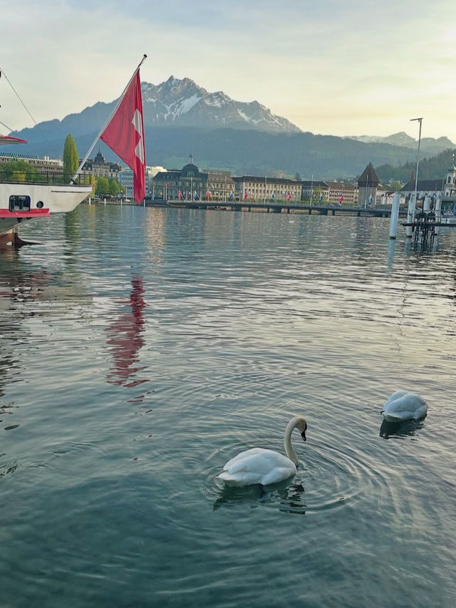 【湖と山が織りなす絶景】ルツェルン湖で心ほどける癒し旅🚤