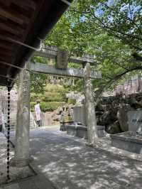 【北九州観光】月に2回入れ替わる花手水に癒される❁⃘