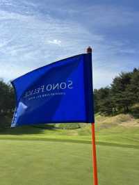소노펠리체 델피노cc