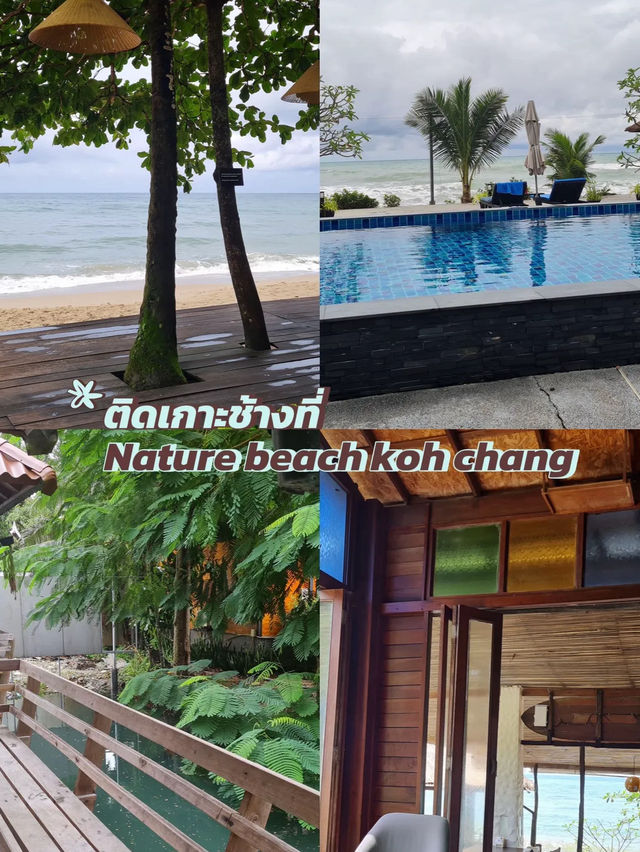 ติดเกาะช้างที่ โรงแรม Nature beach 