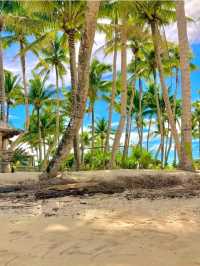 Tiny Paradise: Guyam Island