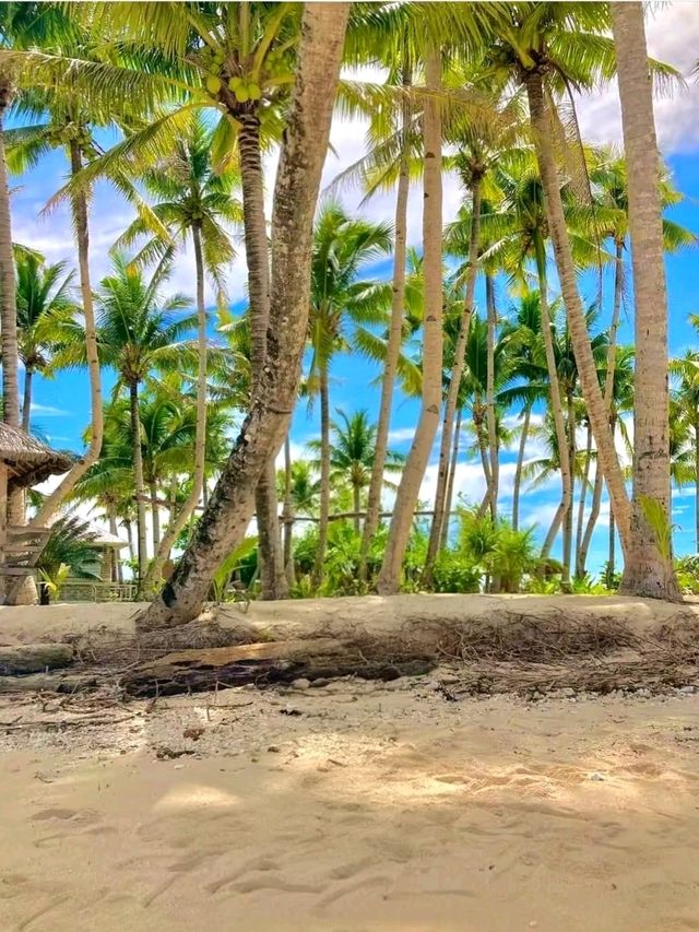 Tiny Paradise: Guyam Island