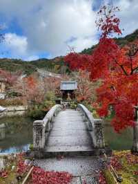@ EIKANDO TEMPLE IN KYOTO.