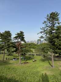 韓妞都愛來這拍「孤獨的樹」🌳 首爾奧林匹克公園全攻略✨