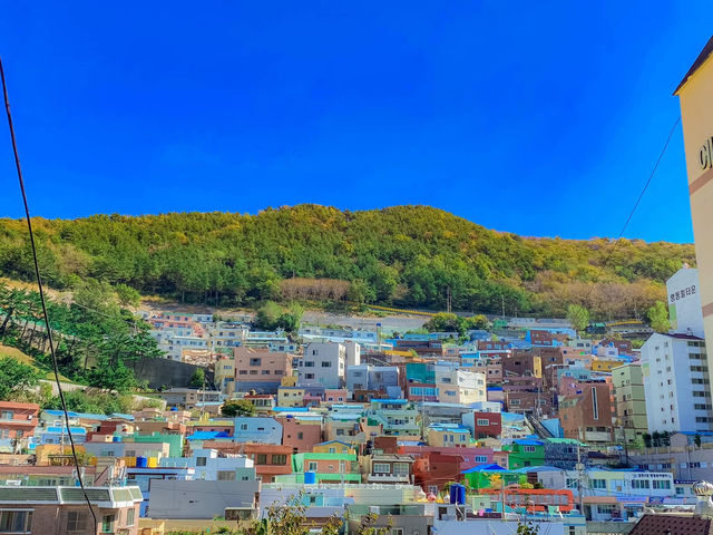 รีวิว Gamcheon Culture Village 