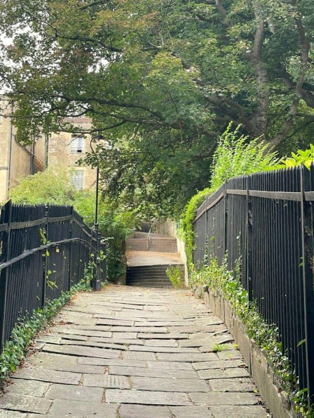 Hedgemead Park