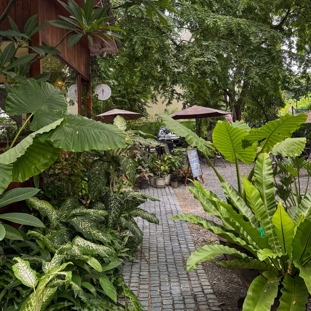 คาเฟ่ในสวนสุดชิล บรรยากาศดีสุดฮีลใจ #นนทบุรี 🥤🍃💚
