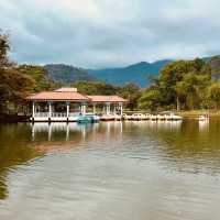 Taman Tasik Taiping: A Misty Summer Morning in Malaysia’s Oldest Garden