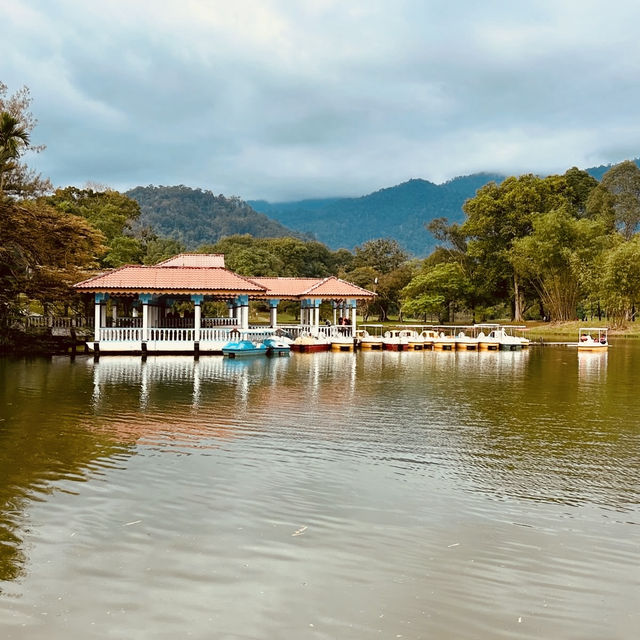 Taman Tasik Taiping: A Misty Summer Morning in Malaysia’s Oldest Garden