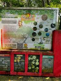 City Mangrove Park – A Perfect Summer Escape into Nature