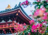 평화로운 역사, 아름다운 건축 - 'Byodoin Temple' 방문기