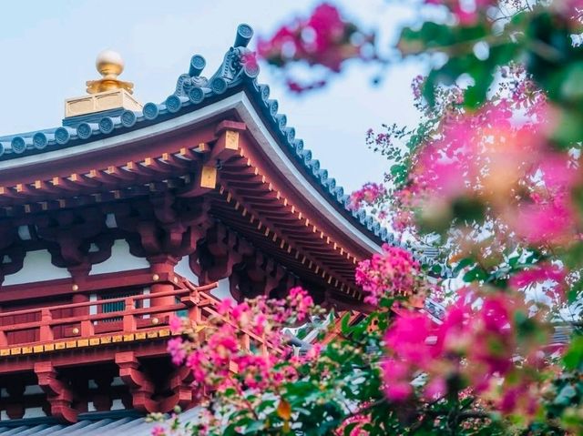 평화로운 역사, 아름다운 건축 - 'Byodoin Temple' 방문기