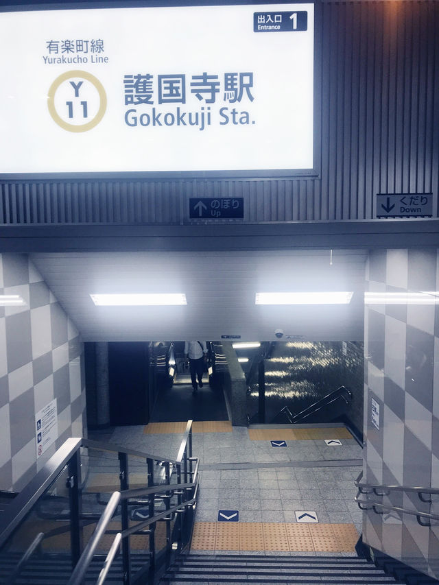 【東京　護国寺、音羽　夕暮れの風に吹かれて講談社と護国寺をジョグ散歩】