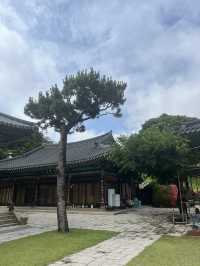 부산 민락동 숨은 한옥 뷰 포인트, 옥련선원 산책 후기