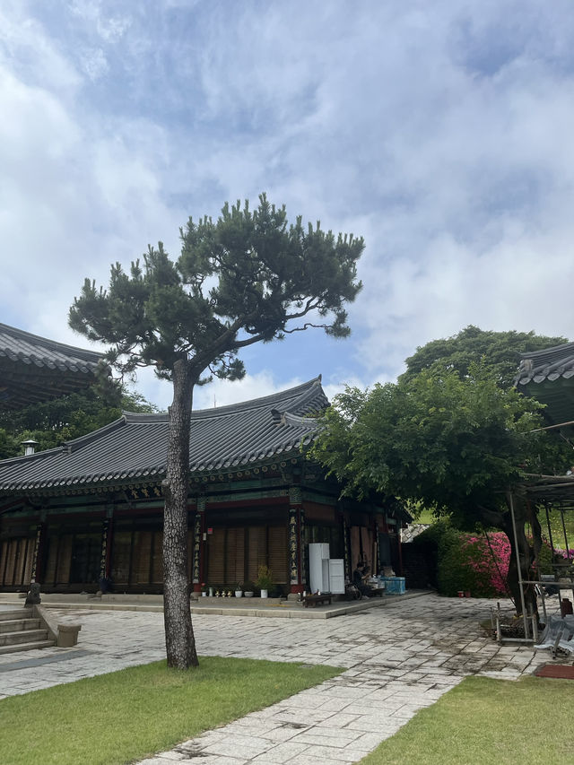 부산 민락동 숨은 한옥 뷰 포인트, 옥련선원 산책 후기