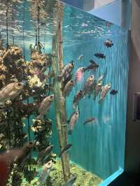 仙台うみの杜水族館🪼