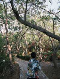 เกาะล้านนน