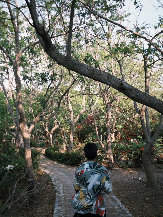 เกาะล้านนน