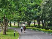 Trot Cafe Khaoyai 🏇🏻