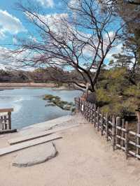 岡山後樂園🇯🇵！日本三大庭園之一！📸 靚爆！