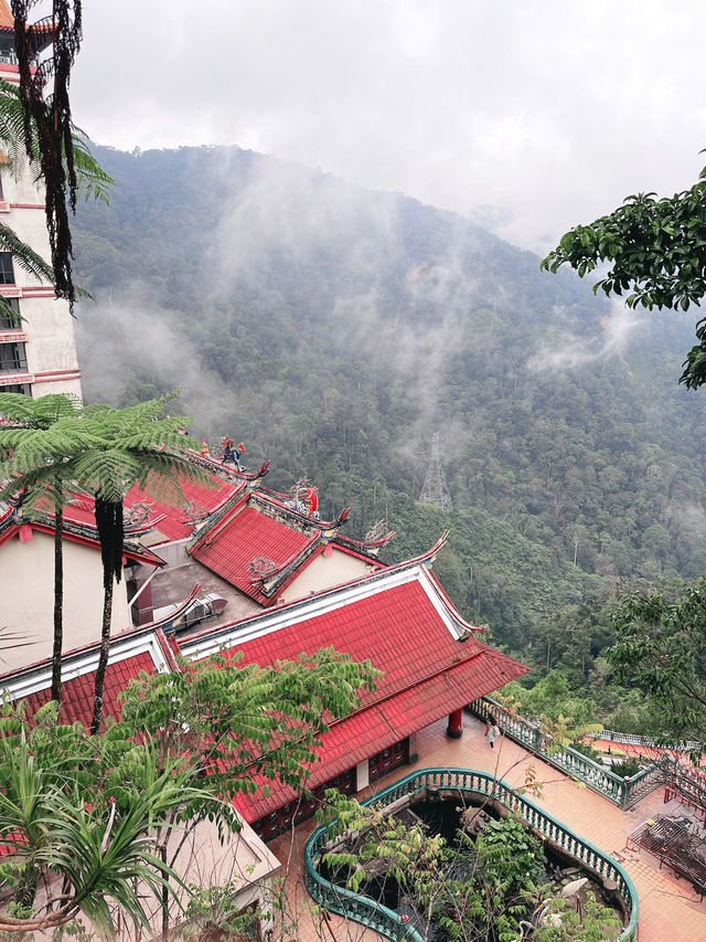Chill with a View – YOYOU Gelato at Chin Swee Temple