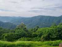 จุดชมวิว กม.30 อุทยานแห่งชาติเขาใหญ่