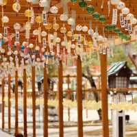 Solo Adventure to Takekoma Inari Shrine: A Hidden Gem by Train** 🚅⛩️