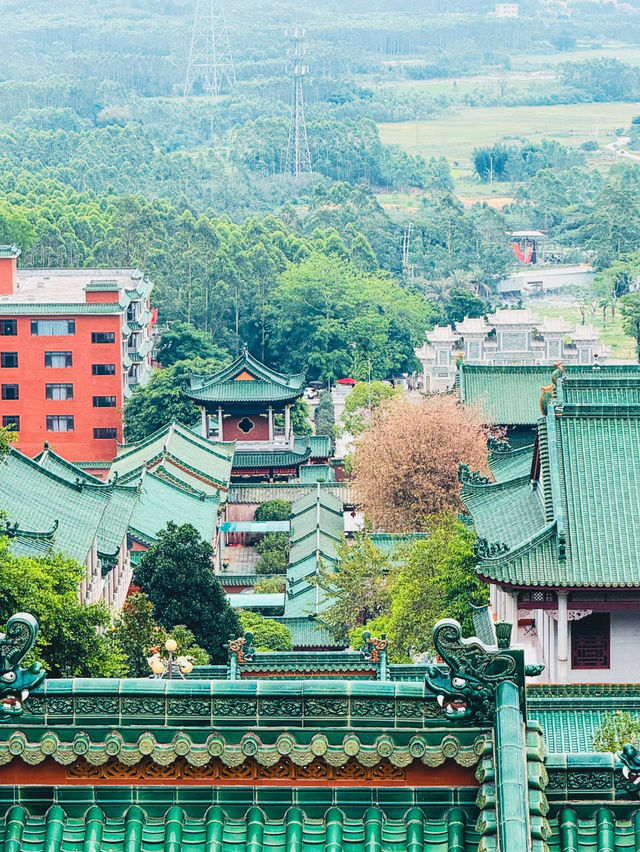 Qingyun Mountain, Lufeng, Shanwei | A Soul-Cleansing Journey ✨